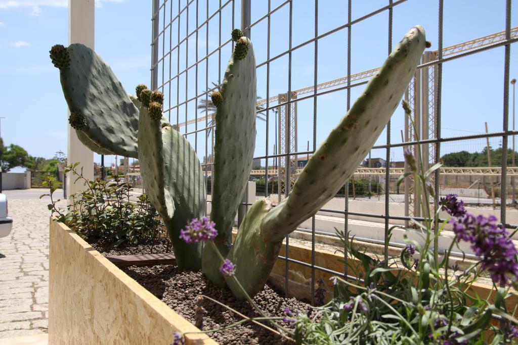 סנטה קרוצ'ה קמרינה Kaucana Inn מראה חיצוני תמונה